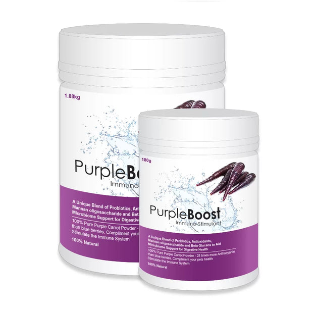 LifeWise Pet Nutrition - Purple Boost - Immuno-Stimulant with Probiotics and Antioxidants
